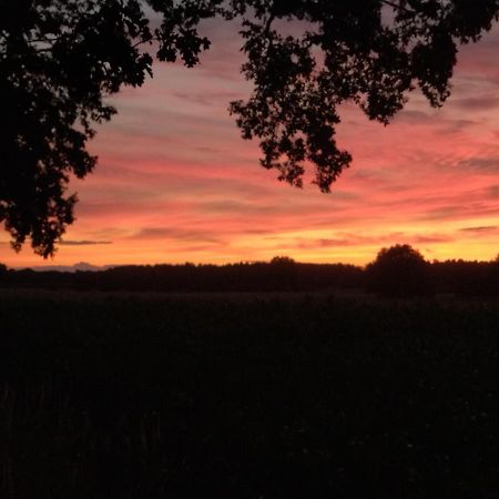 Ferienwohnung Bittner Klitten Buitenkant foto