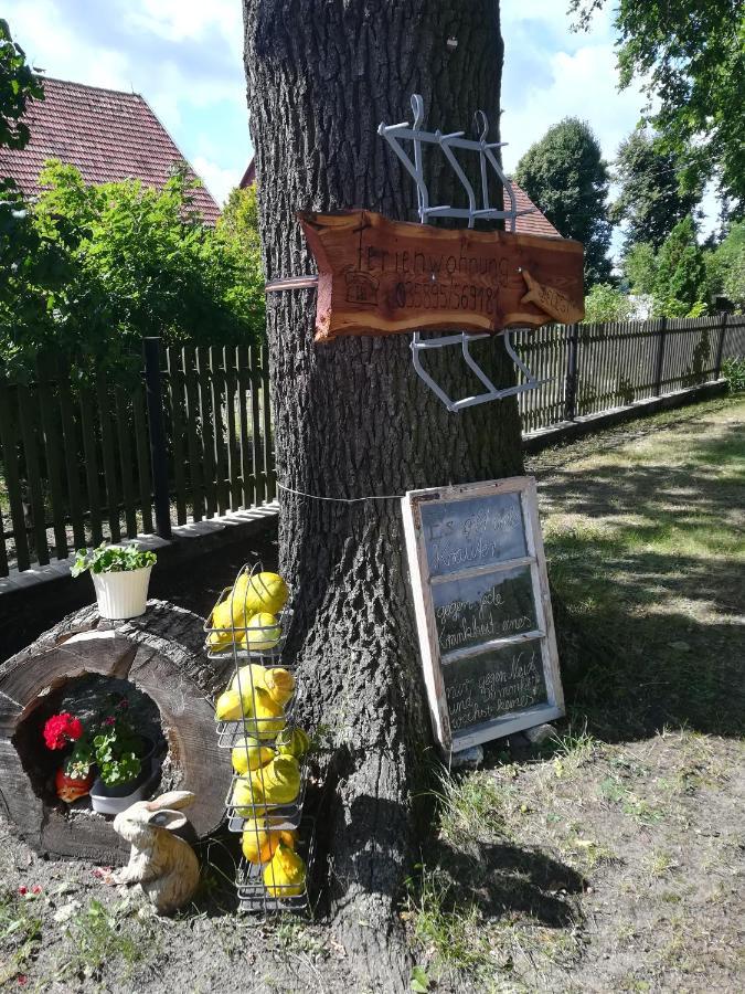 Ferienwohnung Bittner Klitten Buitenkant foto