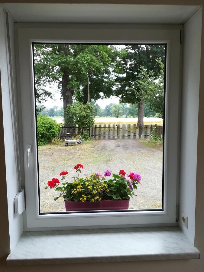Ferienwohnung Bittner Klitten Buitenkant foto