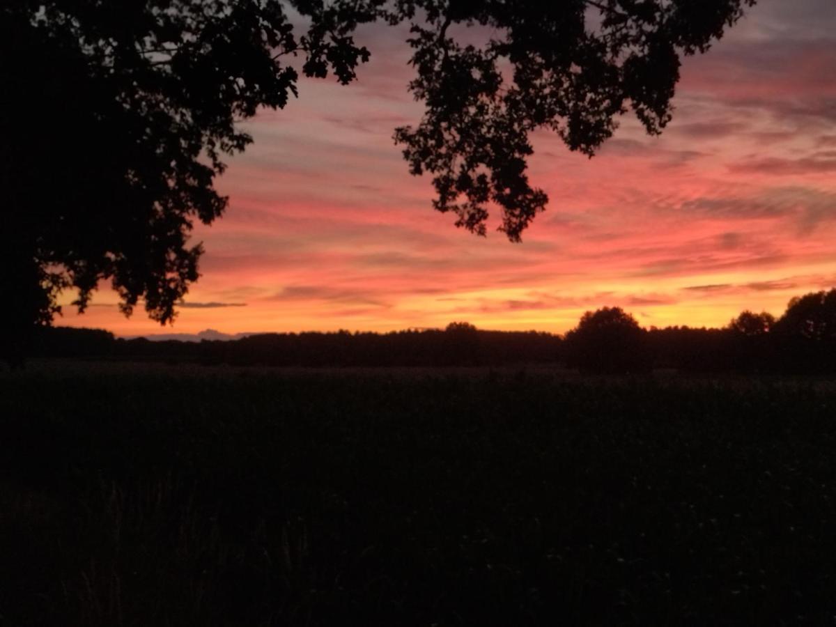Ferienwohnung Bittner Klitten Buitenkant foto